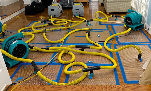 Professional Emergency Water Removal technician working in Alger, OH