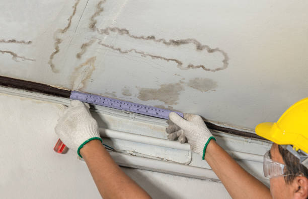 Affordable Water Damage Repair solutions in Alger, OH